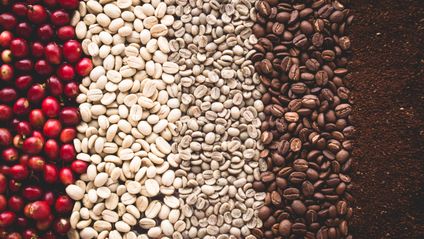 Arabica coffee Steps Coffee Beans Coffee in Asia