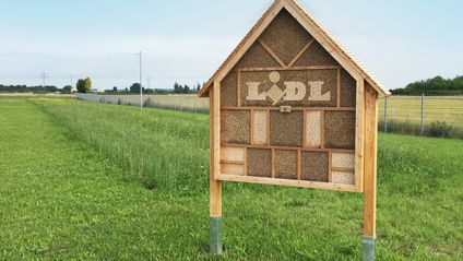 Ein großes, hölzernes Insektenhotel steht als Nisthilfe auf einer weiten Grasfläche unter klarem, blauem Himmel.