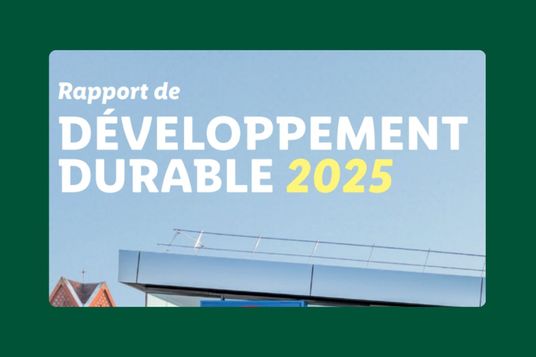 rapport RSE