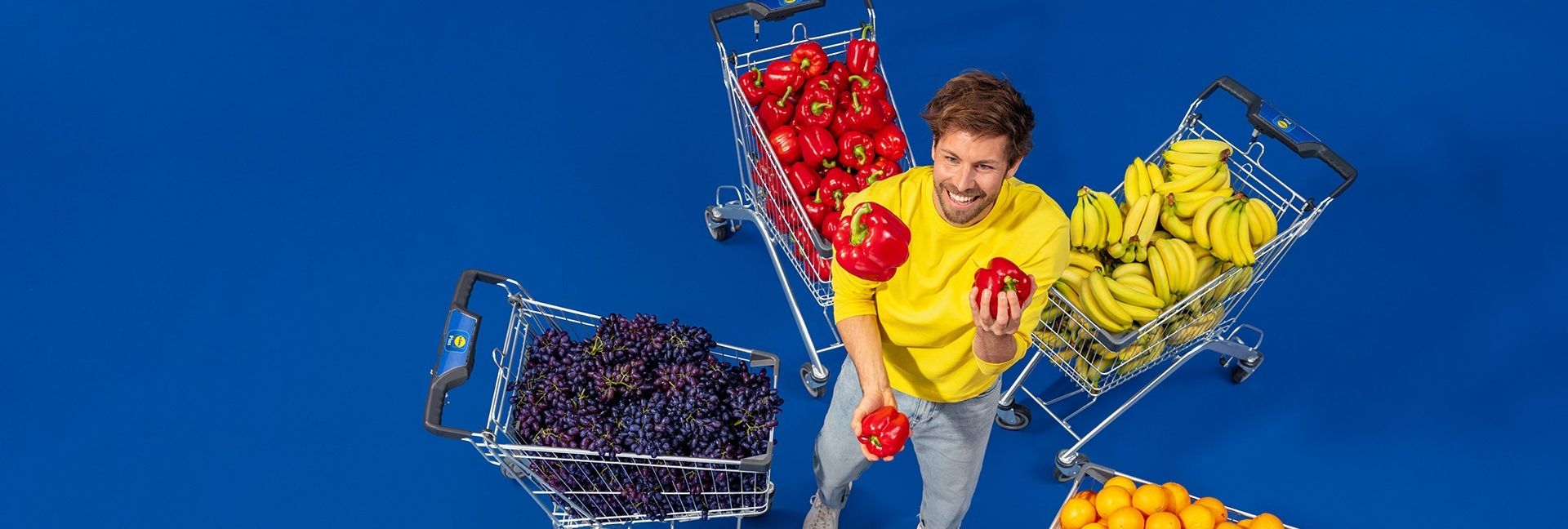 Lidl-Einkaufswagen im Kreis mit Obst und Gemüse