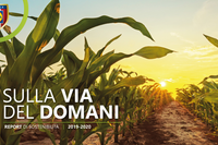 Report di Sostenibilità 2019-2020