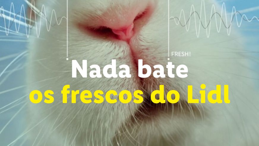 Nada Bate os frescos do Lidl