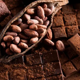 Chocolate de comércio justo