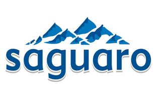 logo saguaro
