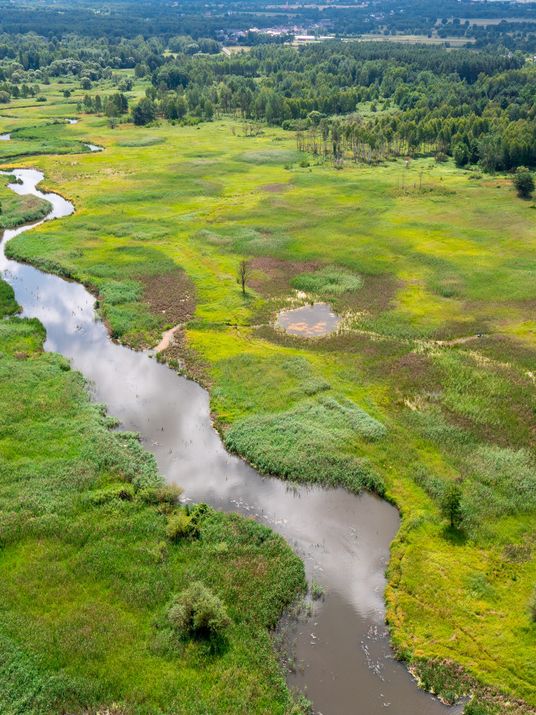 Rzeka