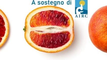 Le Arance Rosse per la Ricerca
