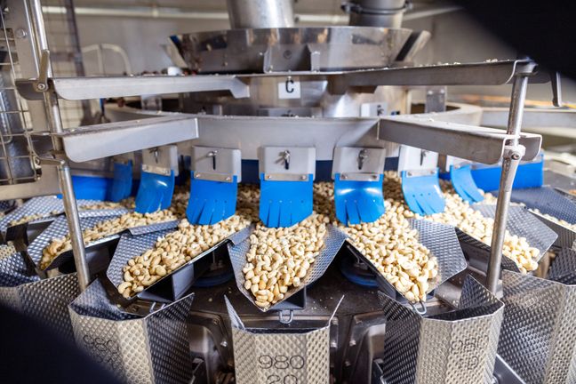 Eine industrielle Abfüllanlage portioniert helle Kakaobohnen präzise in metallene Behälter für faire Schokolade.