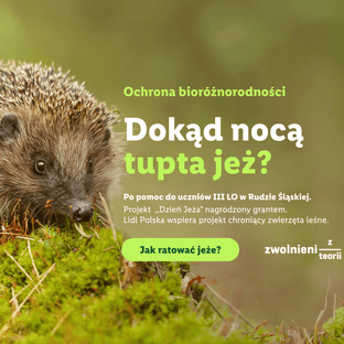 story text image_zwolnieni_jeż
