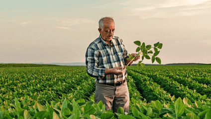 agriculteur