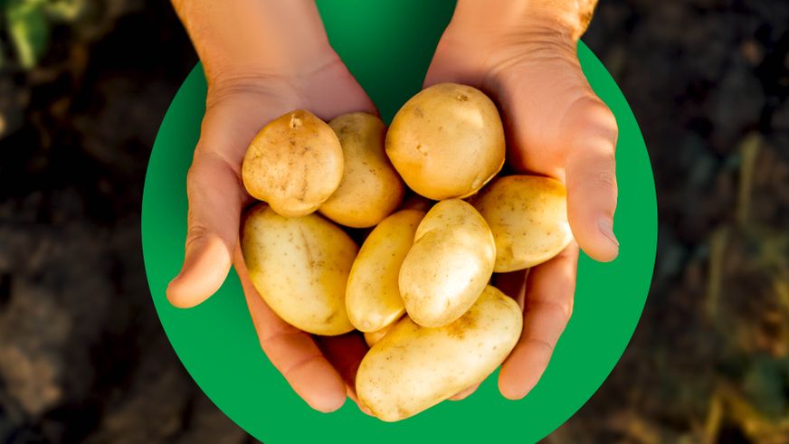 Lidl reduziert die Preise für deutsche Kartoffeln