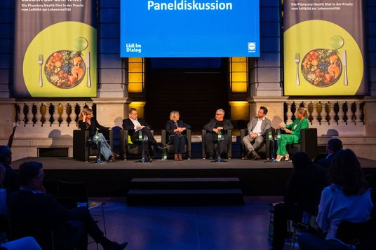 IMG_LiD_Header_Paneldiskussion