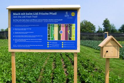 Fresh field 04