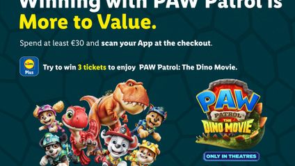 Paw Patrol hero image