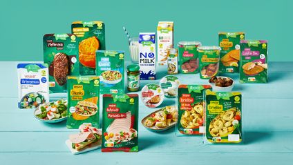 Eine bunte Auswahl an veganen Vemondo-Produkten präsentiert sich ansprechend auf einem hellblauen Holztisch vor mintgrünem Grund.