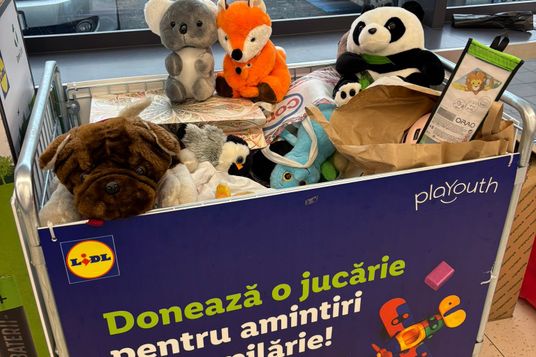 Asociația PlaYouth