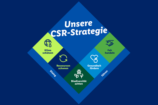 Image_Nachhaltigkeitsbericht_CSR-Strategie 4:3