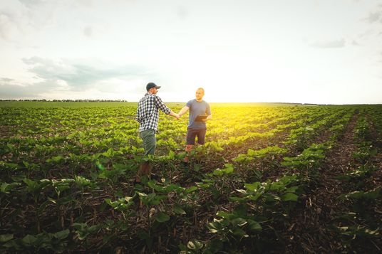 Zwei Landwirte geben sich in der Abendsonne einen Handschlag auf einem weiten Sonnenblumenfeld.