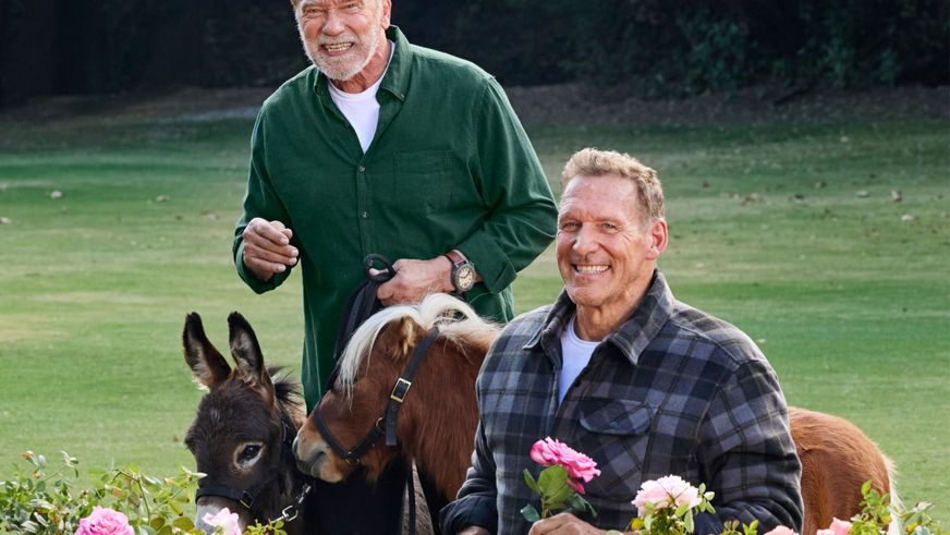 Parkside-Arnold-Schwarzenegger