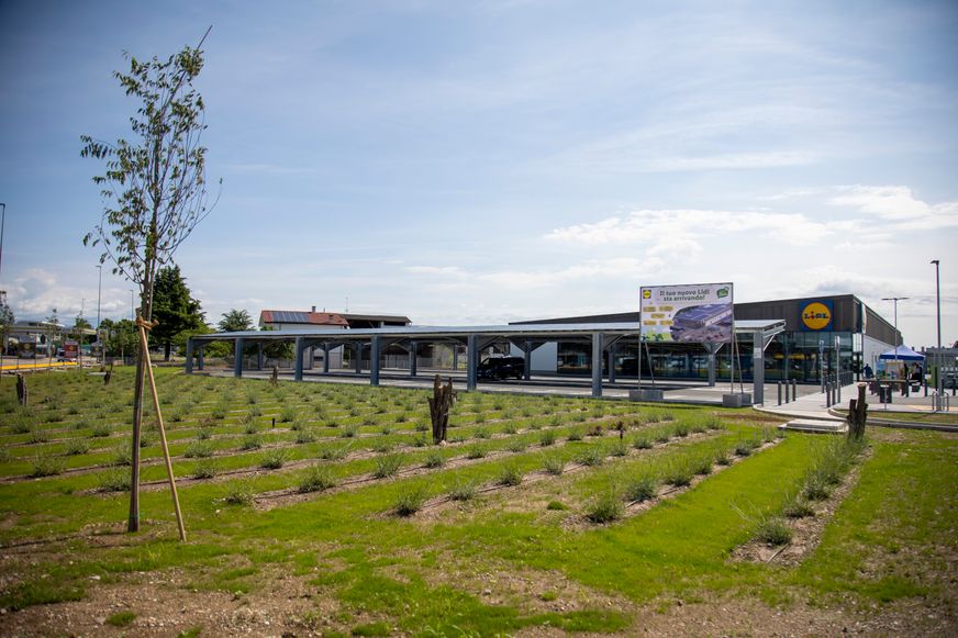 Villafranca esterno