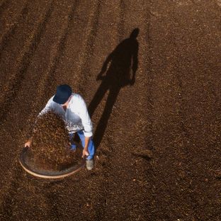 agriculteur dans un champs