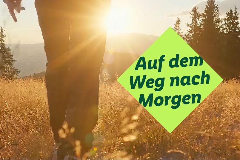 Keyvisual im Loop: Ein Mensch geht auf einer sonnigen Wiese nach vorn, symbolisch für Lidls Weg nach Morgen.